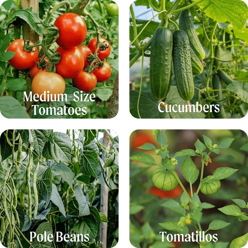 Grow What You Love