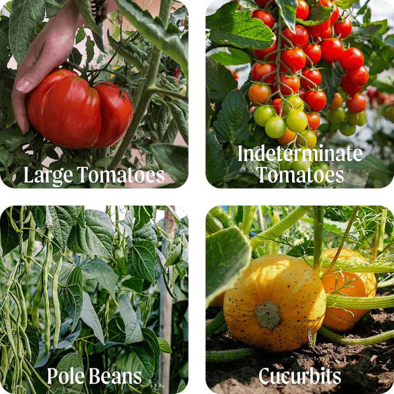 Grow What You Love