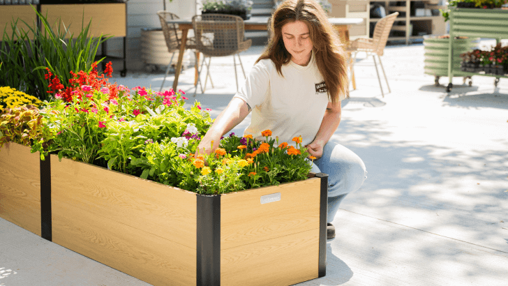 Vego garden beds