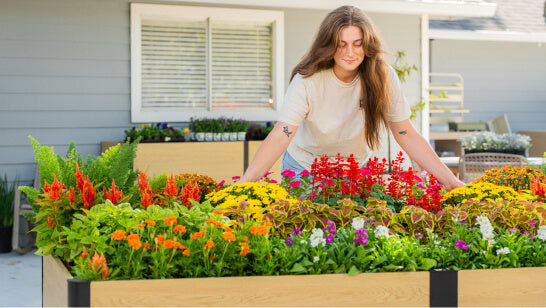 Vego garden beds