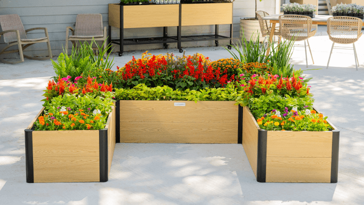 Vego garden beds