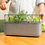 2-Tier Tabletop Grow Light Garden with 1020 Tray & Herb Planter | Vego Garden