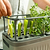 2-Tier Tabletop Grow Light Garden with 1020 Tray & Herb Planter | Vego Garden