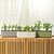 2-Tier Grow Light Garden with 1020 Tray & Herb Planter | Vego Garden