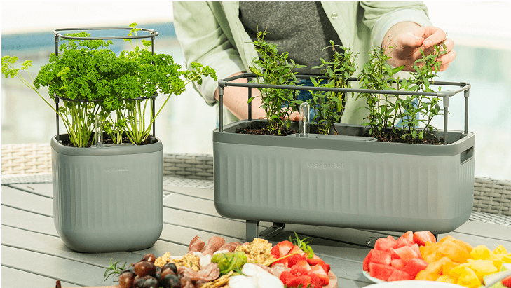 Vego garden beds