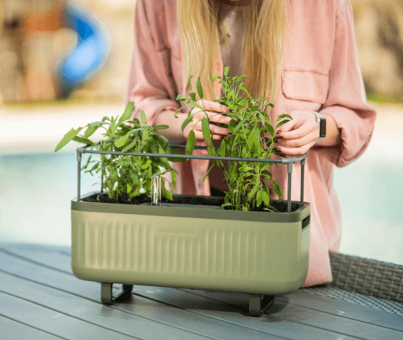 Herb Planter