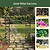 Heritage Garden Arch | Vego Garden | Vego Garden
