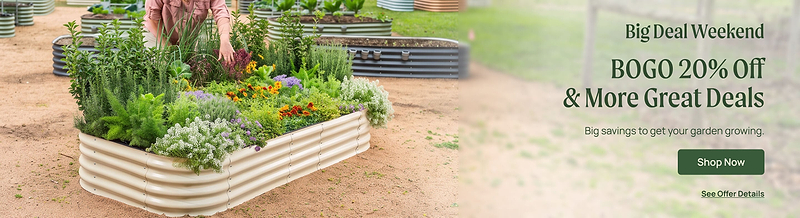 Vego garden beds