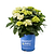 Grin and Tonic™ Reblooming Hydrangea | Vego Garden