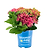 Tilt-A-Swirl® Bigleaf Hydrangea | Vego Garden