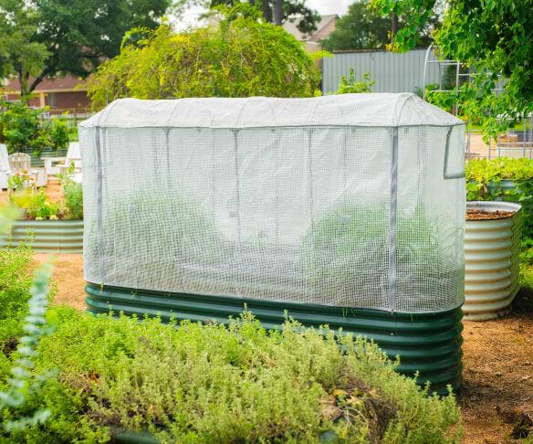 Vego garden beds
