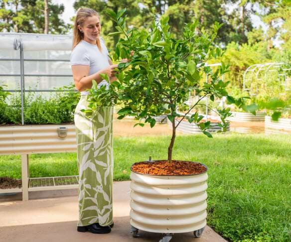 Vego garden beds