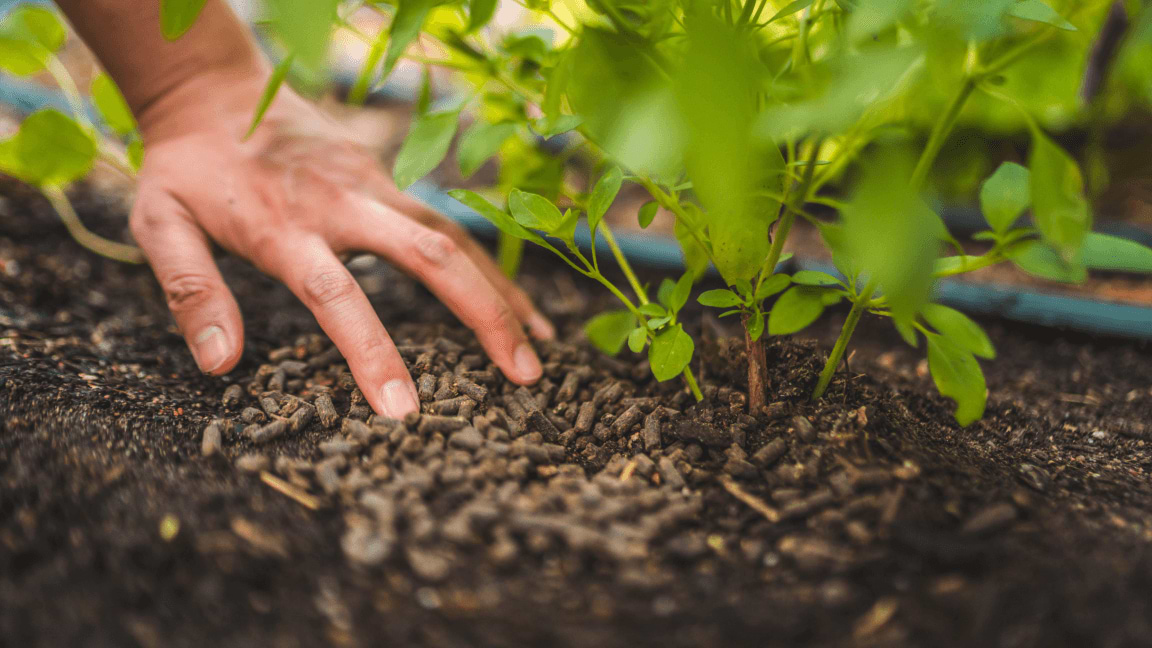 Nourish Your Garden Ecosystem