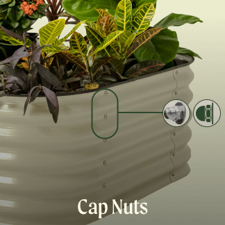 Vego garden beds