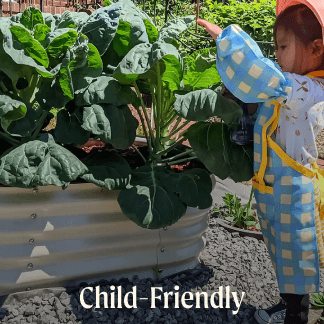 Vego garden beds