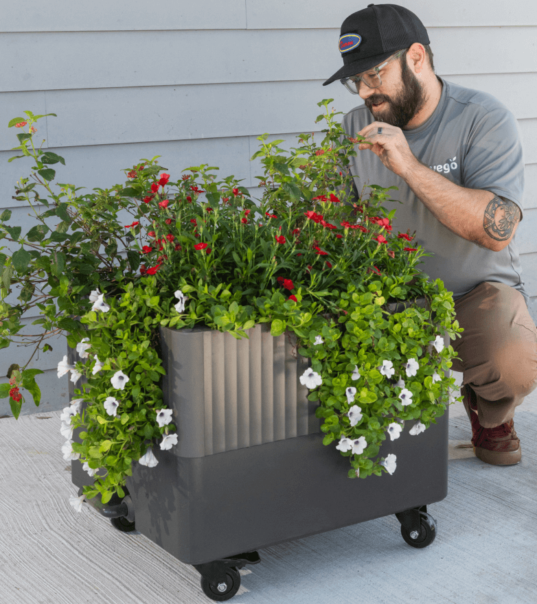 Vego garden beds