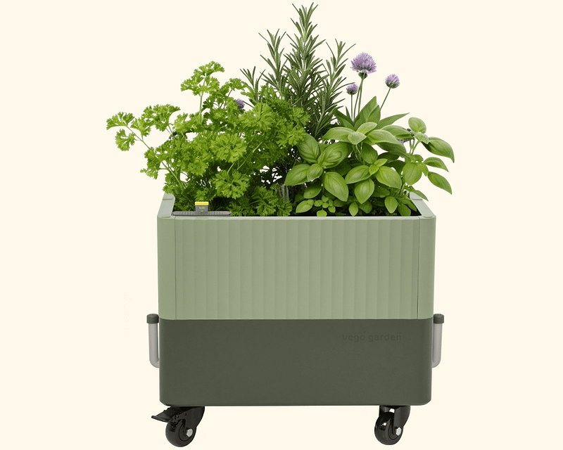 Vego garden beds