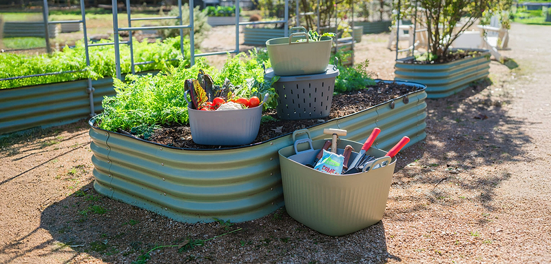 Vego garden beds