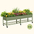 4-Pack Elevated Garden Bed - Jumbo Series 2.5&