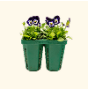 Vego garden beds