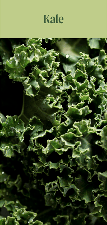 Kale