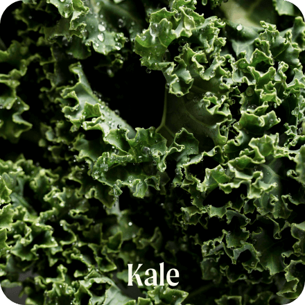 Kale
