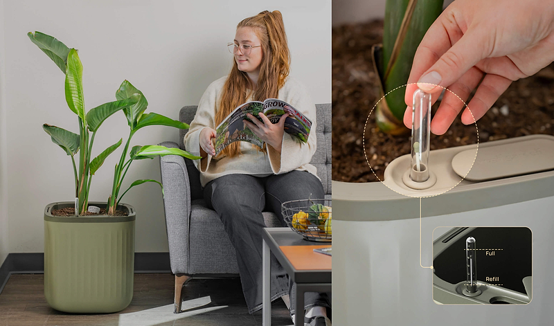 Keep Track of Your Watering