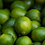 Key Lime Tree | Vego Garden