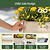 Kids First Elevated Garden Bed | Vego Garden