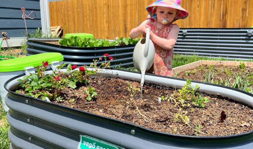 Vego garden beds