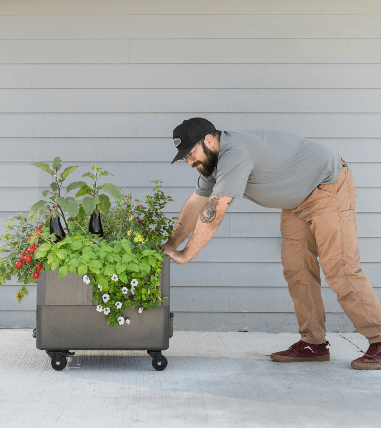 Vego garden beds