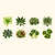 Leafy Seeds Kit