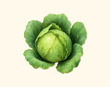 Leafy Seeds