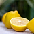 Lisbon Lemon Tree | Vego Garden