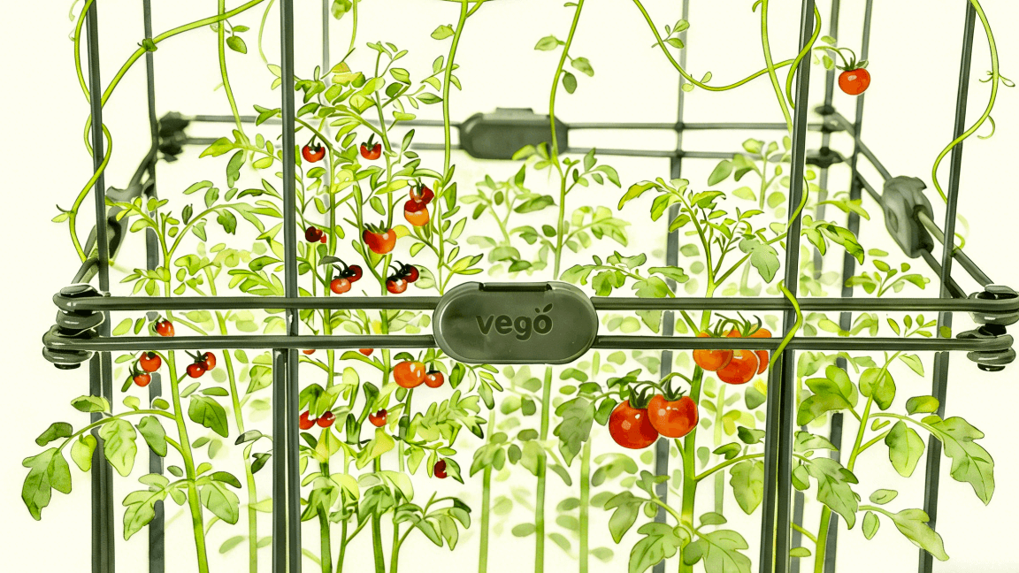 Vego garden beds