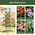 MaxGrow Tomato Tower 6 Tier - 3 Pack | Vego Garden | Vego Garden