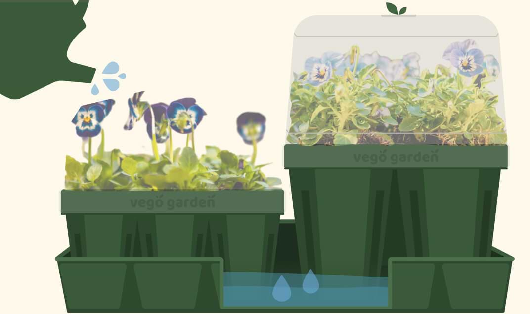 Mess-Free Watering