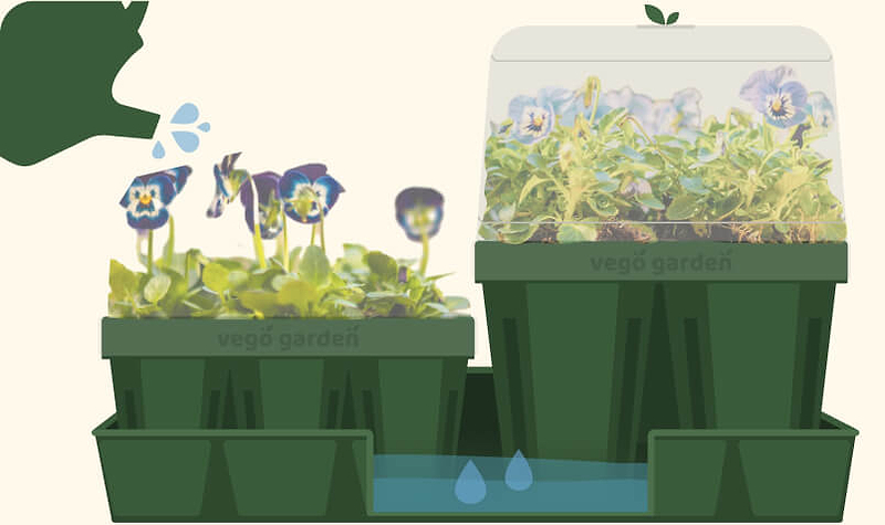 Vego garden beds