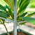 Classic Rolling Cube Tomato Planter  | Vego Garden