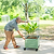 Classic Rolling Cube Tomato Planter  | Vego Garden