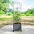 Classic Rolling Cube Tomato Planter  | Vego Garden