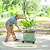 Metal Cage For Classic Rolling Cube Planter | Vego Garden