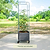 Metal Cage For Classic Rolling Cube Planter | Vego Garden