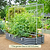 Metal Frame String Trellis | Vego Garden