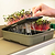 EZ Micro Greens Planter with Grow Mats Bundle | Vego Garden