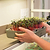 Microgreens Grow Mats - 40 Pack