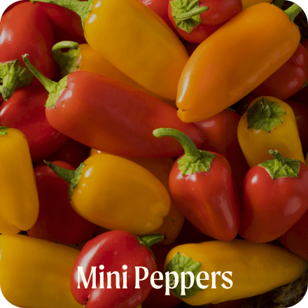 Mini Peppers