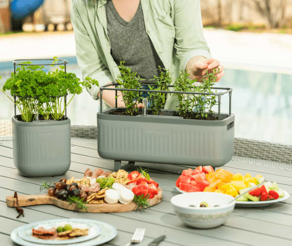 Mini Planter