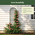 Mounted Wall Trellis | Vego Garden | Vego Garden