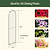 Mounted Wall Trellis | Vego Garden | Vego Garden